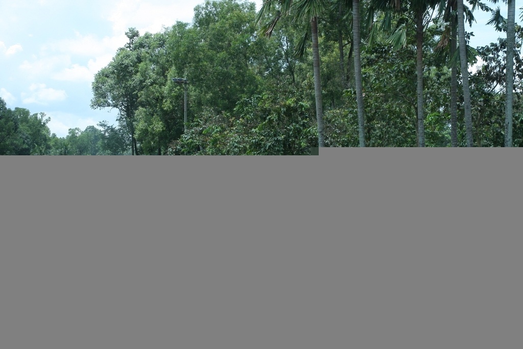 TPHCM chuyển dự án sân golf Rạch Chiếc thành khu dân cư - 1 Sân golf Thủ Đức - TPHCM