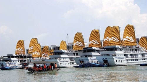 Chiêm ngưỡng những du thuyền triệu đô của đại gia Việt - 4 Ngoài siêu xe, chúa đảo Tuần Châu còn sở hữu một đội du thuyền 5 chiếc có giá trị lên tới hàng triệu USD.