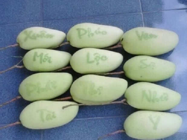 Những loại quả chưng Tết độc, lạ giá tiền triệu - 6 Những loại quả chưng Tết độc, lạ giá tiền triệu - 6