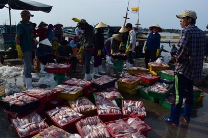 Vụ cá chết bất thường: EU cảnh báo, Vasep khẳng định thủy sản an toàn - 1 Vasep khẳng định chất lượng các mặt hàng hải sản xuất khẩu không bị ảnh hưởng bởi hiện tượng cá chết ở ven biển 4 tỉnh miền Trung trong thời gian qua.
