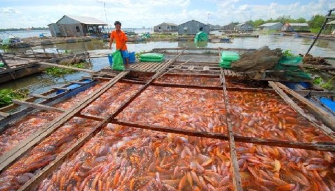 Làm giấy thông hành 1 sản phẩm thuỷ sản: Sếp nhận 5 triệu, “cò” 2 triệu... - 1 (Ảnh minh hoạ).