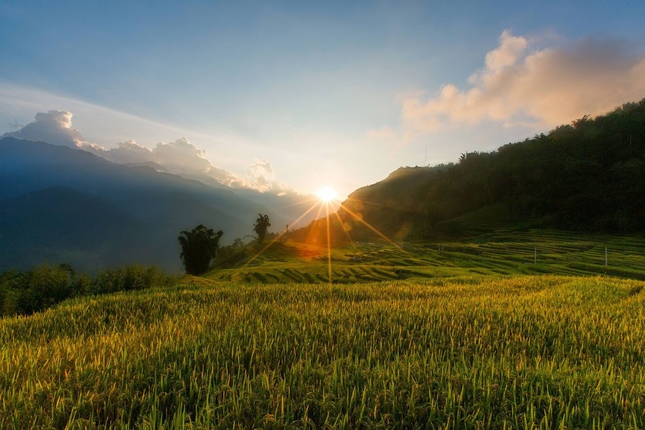 Đẹp mê hồn “mùa vàng” ở Lào Cai - 3 Hoàng hôn trên ruộng lúa Y Tý