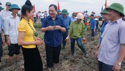 Nhớ vị Bí thư Tỉnh ủy mặc quần đùi lội hồ Thác Bà đẩy tàu mắc cạn - 1
Bí thư Tỉnh uỷ Yên Bái Phạm Duy Cường (người cầm cây ngô non) xuống ruộng cùng bà con nông dân. (Ảnh: Tùng Duy).