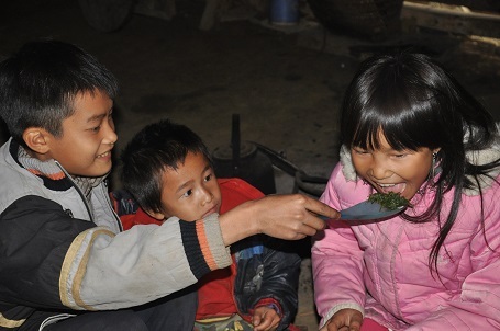 Hàng ngày ăn rau rừng để sống, các em vẫn vui vẻ.