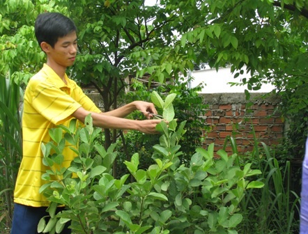 Miễn học phí cho thủ khoa Nguyễn Huỳnh Nhật Dương - 1 Miễn học phí cho thủ khoa Nguyễn Huỳnh Nhật Dương - 1