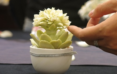 Độc đáo bút sứ nghìn đô - 6 Chậu hoa xương rồng đẹp khiến nhiều người kinh ngạc vì chất liệu bằng sứ