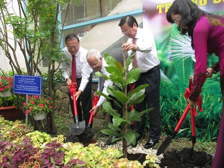 Xúc động lễ khai giảng hướng về biển đảo - 8 Chủ tịch UBND TP trông cây bàng vuông trong khuôn viên trường.