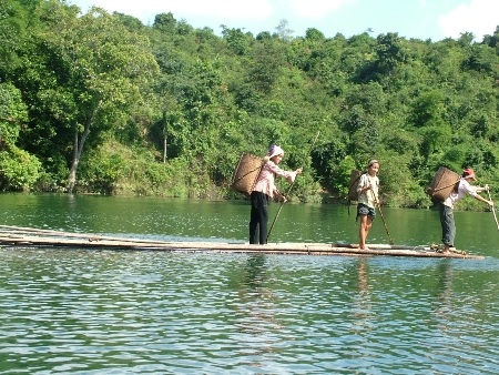 “Săn” mật ong rừng ở Pù Mát - 1 “Săn” mật ong rừng ở Pù Mát - 1