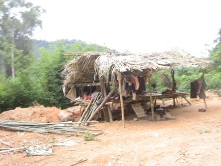 “Săn” mật ong rừng ở Pù Mát - 3 “Săn” mật ong rừng ở Pù Mát - 3