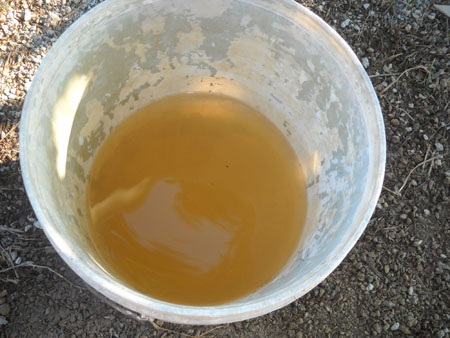 Nước bơm lên có màu vàng đục đặc quánh như màu gạch, tanh chua, không thể sử dụng được