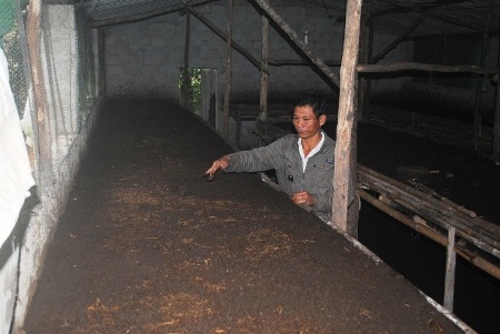 Anh Nguyễn Trường Giáp  trở thành con nợ của Ngân hàng vì ký hợp đồng nuôi giun