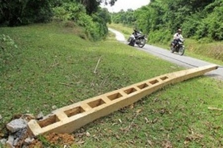 3 con voi rừng quật đổ cột điện - 1 Cột điện trên trục đường bị đàn voi rừng quật đổ mới đây