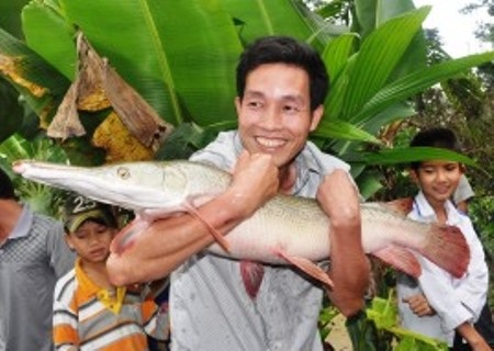 Người dân kéo nhau tới để xem con cá lạ