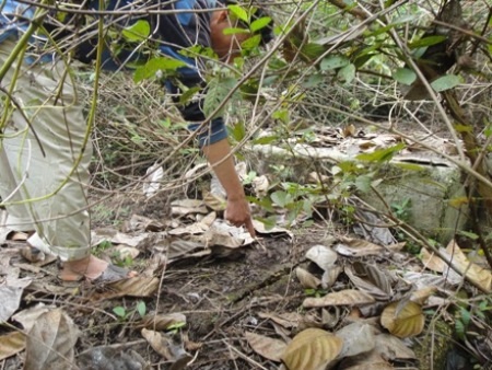 Trên bề mặt căn hầm đã lộ rõ nhiều vết nứt lớn, nắp hầm đã nứt theo từng đường kéo dài