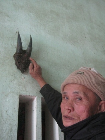 Chiếc sừng dê rừng thần kỳ “hóa giải” mọi vết thương không để lại sẹo - 1 Chiếc sừng dê rừng thần kỳ “hóa giải” mọi vết thương không để lại sẹo - 1
