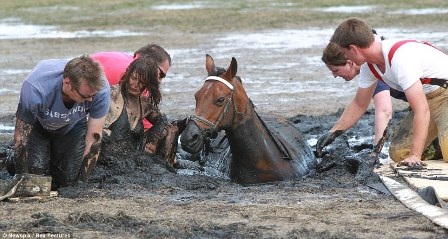 Horrified by the scene of a young mother risking her life to save her pet horse