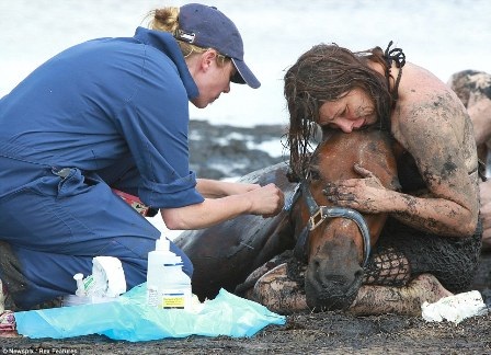 Horrified by the scene of a young mother risking her life to save her pet horse