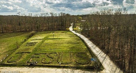 Ngắm ngôi nhà cây cao nhất thế giới cực kỳ ấn tượng - 5 Ngắm ngôi nhà cây cao nhất thế giới cực kỳ ấn tượng