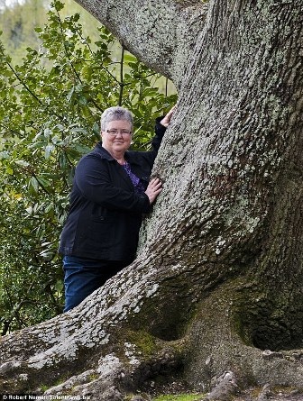 Người phụ nữ yêu mê đắm... một cây sồi - 1