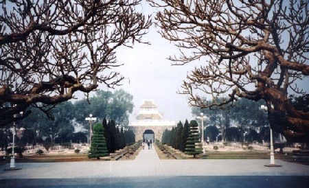 “Rừng thiêng” ở Điện Biên