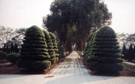 “Rừng thiêng” ở Điện Biên