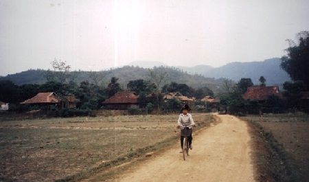 “Rừng thiêng” ở Điện Biên