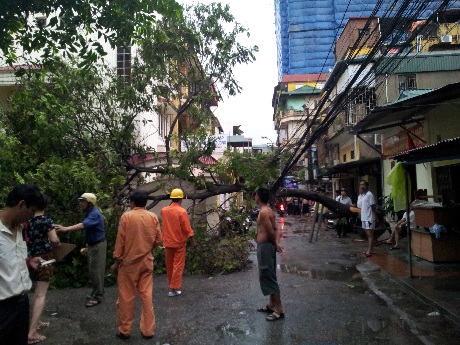 Đổ cây to, kéo đứt chùm dây điện, mất điện cục bộ tại C4 Giảng Võ (ảnh:H.K)
