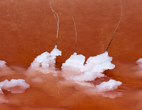 Những tinh thể muối tự hình thành dưới lòng sông