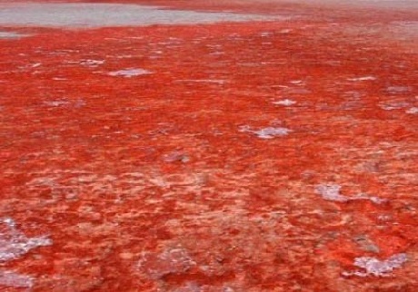 Hồ Retba (Senegal)