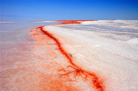 Hồ Retba (Senegal)