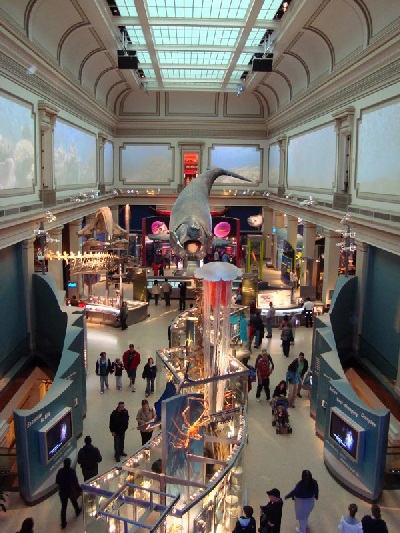 Bên trong Bảo tàng lịch sử tự nhiên quốc gia