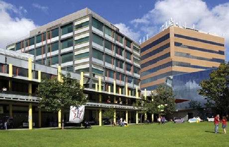 Đại học Monash – Một trong những trường có dịch vụ sinh viên quốc tế tốt nhất