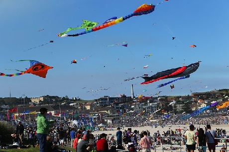 Hàng nghìn du khách đổ ra bãi biển thưởng ngoạn lễ hội thả diều lớn nhất Australia
