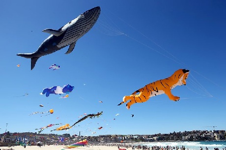 Khung cảnh kỳ thú trên bãi biển Bondi với rợp trời những Hổ, Gấu, Cá voi... đủ màu sắc