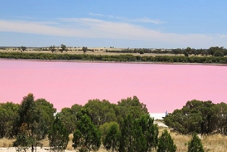 Hồ Retba (Senegal)