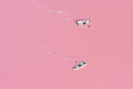 Hồ Retba (Senegal)