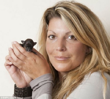 Nằm gọn nhỏ trong lòng bàn tay cô chủ Emma