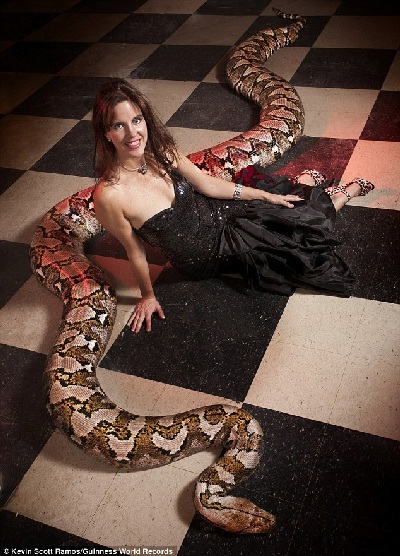 Chú rắn Medusa có chiều dài kỷ lục