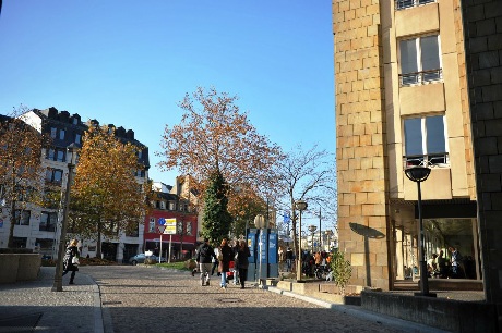 Khoảnh khắc giao mùa ở Luxembourg - 11 Đang trong độ giao mùa,