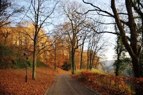 Khoảnh khắc giao mùa ở Luxembourg - 2 Những con đường nhỏ đẹp lãng mạn trong sắc lá vàng rơi