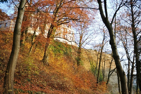 Khoảnh khắc giao mùa ở Luxembourg - 3 Đường phố nhộn nhịp trong giờ tan tầm se lạnh của mùa thu