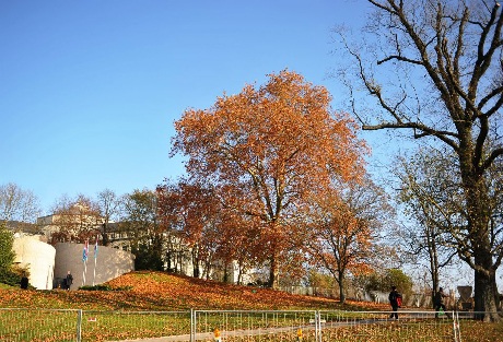 Khoảnh khắc giao mùa ở Luxembourg - 6 Đường phố nhộn nhịp trong giờ tan tầm se lạnh của mùa thu