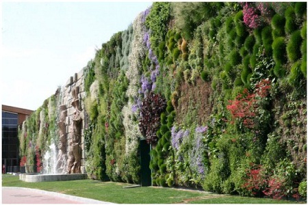 Chiêm ngưỡng khu vườn thẳng đứng lớn nhất thế giới