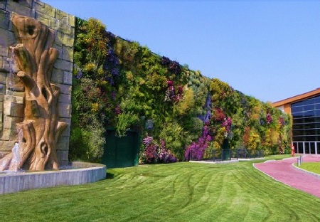 Chiêm ngưỡng khu vườn thẳng đứng lớn nhất thế giới