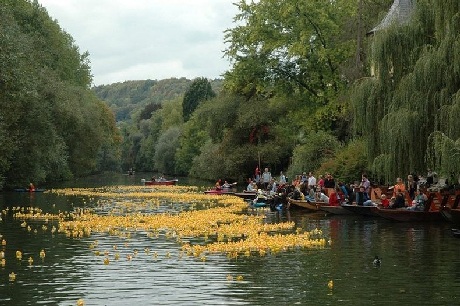 Thú vị cuộc đua “vịt cao su” - 1 Cuộc đua vịt cao su ở Tubingen được tổ chức hàng năm từ 1999