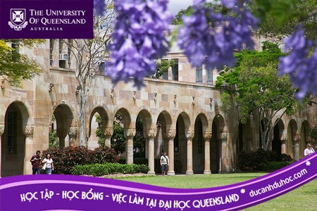 Hội thảo: Đại học Queensland- học tập, học bổng và việc làm - 2 Chi tiết về thủ tục xin học,