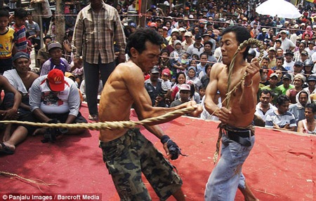 Nghi lễ quất roi... cầu mưa lạ lùng ở Indonesia - 1 Hai đối thủ trong cuộc “giao đấu”