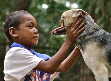 Chú chó Kabang dũng cảm và một hàm trên bị mất do cứu người