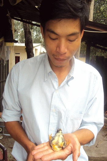 Đổ xô xem gà 4 chân - 2 Anh Vũ Minh Quyền cùng với gà con 4 chân