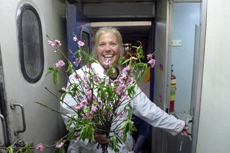 Một cành đào cho ngày Tết cổ truyền Việt Nam